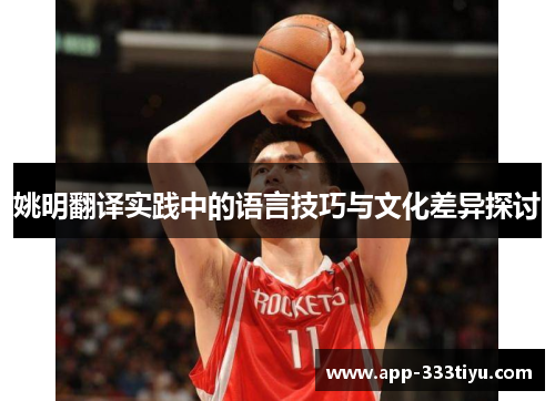 姚明翻译实践中的语言技巧与文化差异探讨